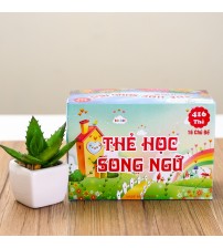 Bộ 416 thẻ học song ngữ Anh - Việt 16 chủ đề